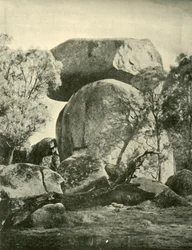Vista robins, Yeashire, 1901.
