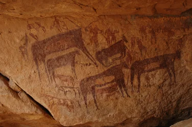 Arte rupestre, Pré-história: Pintura rupestre de um grupo de gado incluindo um joelho e um grupo de personagens incluindo arqueiros num abrigo ornamentado, no maciço de Uweinat, Sudão (Karkur-Talh ou Karkur Talh). Período de 8000 a 3000 anos antes de Crist