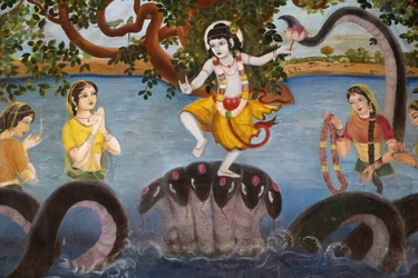 Sandipani Muni School para raparigas carenciadas gerida pela Food for Life Vrindavan. Vida de deus Krishna. Índia
