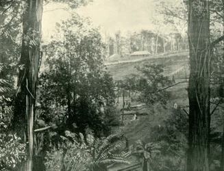 Cena no Upper Gembrook, Victoria, 1901.