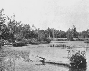 Cena no Mississippi, EUA, c1900.