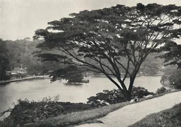 Lago, templo do dente sagrado e biblioteca em Kandy, vista a leste da Victoria Drive, 192