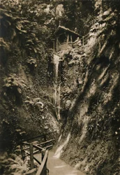 Shanklin Chine, IW, c1920.