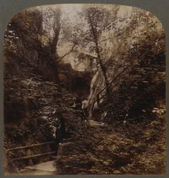 Shanklin Chine de fama mundial, Ilha de Wight, Inglaterra, c1910.