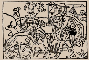 Pastor. Do espelho de seres humanos vida por Rodrigo Zamora, 1479.