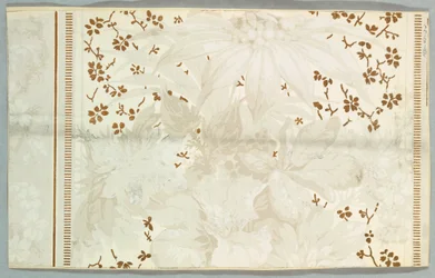 Sidewall (EUA)
