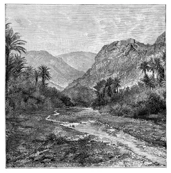 Sinai, Egito, 1895
