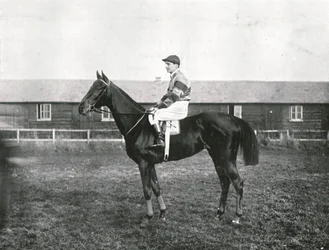 Arranha-céu, 1911.