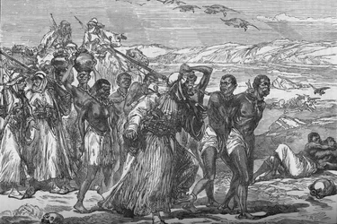Grupo de escravos atravessando o deserto africano, c1881-85
