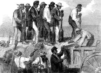 Trabalho escravo reforçando as fortificações da Savana, Geórgia, Guerra Civil Americana, 1863