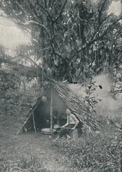 Borracha para fumar, 1916
