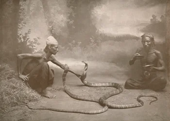 Encantadores de serpentes com Hamadryads Kuy Cobras, 1900.