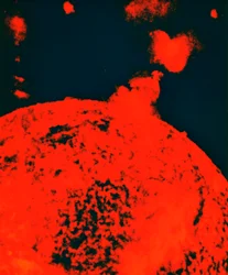Erupção solar