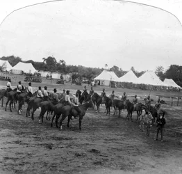 Dia de esportes em Narsampet, Índia, 1905