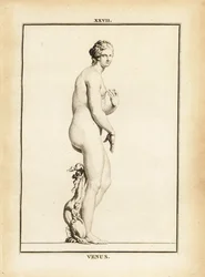 Estátua de Vénus, deusa romana do amor, da beleza, do sexo e da fertilidade