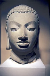 Cabeça de pedra do Buda, Gupta, Índia, século V