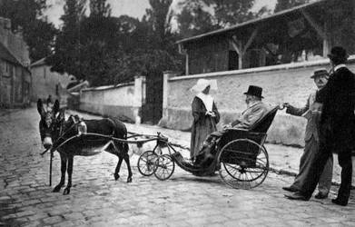 Sully Prudhomme, poeta francês, 1905