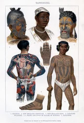 Tatuagem, 1800-1900