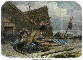 Tatuando um chefe Maori, Nova Zelândia, c1875