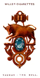 Touro, O Touro, 1923