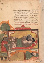 O Ascetic Witnesses the Woman Trying to Poison the Lover, Folio from a Kalila..., século XVIII.