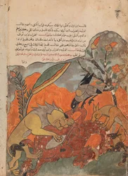 O Ataque ao Camelo pelo Leão, Corvo, Lobo e Chacal, Folio de um Kalila..., século XVIII.
