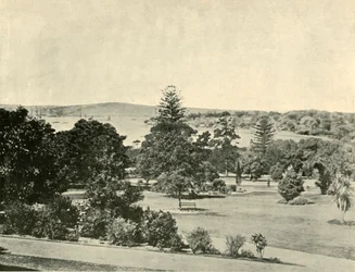Jardins botânicos de Sydney, 1901.