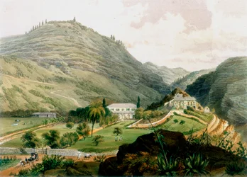 Os Briars, Santa Helena, início do século XIX 1851