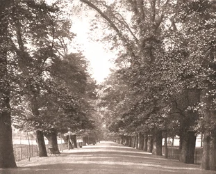 A caminhada larga, Oxford, 1894.