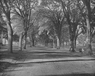 The Elms, New Haven, Connecticut, EUA, c1900.