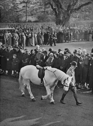 A sela vazia: o pônei branco do rei Georges, Jock, sendo conduzido em procissão, 1936