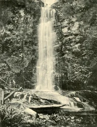 As quedas de Erskine, perto de Lorne, 1901.