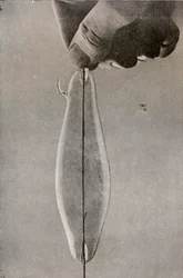A primeira lâmpada elétrica incandescente, c1916