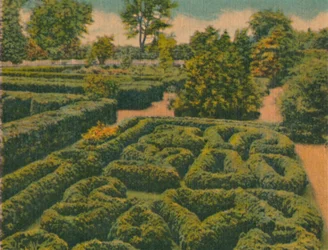 O Jardim de Flores, visão geral, 1946
