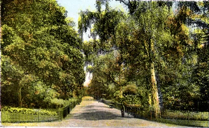 O passeio da flor, jardins de Kensington, Londres, século XX