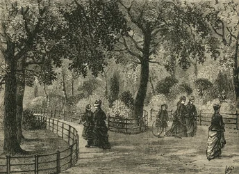 As caminhadas da flor, jardins de Kensington, c1876.