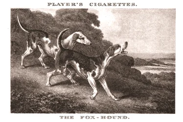 O Foxhound, 1924.