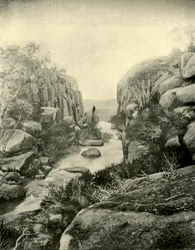 O desfiladeiro, Buffalo Falls, Alpes vitorianos, 1901.