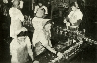 The Great Salmon Industry - Meninas indianas que trabalham no departamento de conservas, c1948.