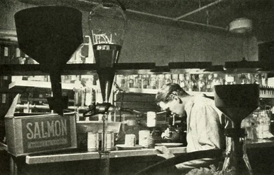 A Grande Indústria do Salmão, c1948.