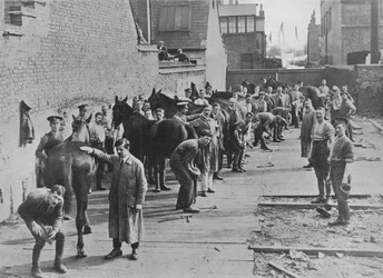 O Novo Exército em treinamento na Farriers School, 1915