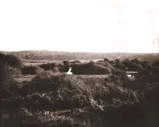 A Nova Floresta, Hampshire, 1894.
