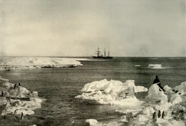 O Nimrod deitado fora do Penguin Rookery, c1908, 1909.