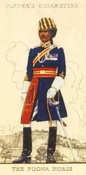 O cavalo Poona, 1936.