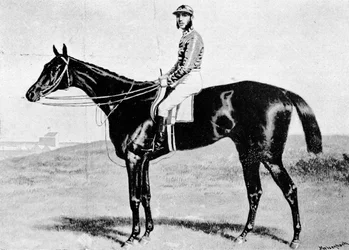O pretendente, c1870s, 1911