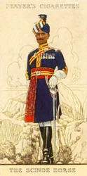 O cavalo Scinde, 1936.