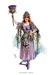 O cardo escocês, 1899