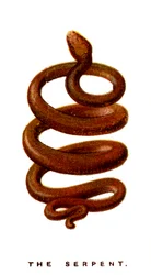 A serpente, 1923