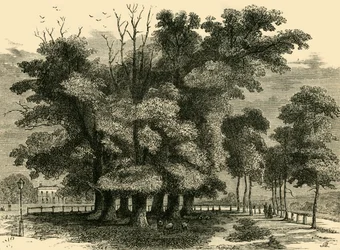 As sete irmãs, em 1830, c1876.