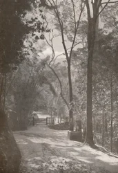 O Espírito da Tijuca, 1914